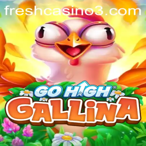 Exploring the Exciting World of GoHighGallina